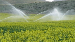 آبیاری نوین مزارع آذربایجان غربی  گرفتار کمبود بودجه