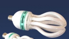 لامپ‌های کم مصرف به سیستم دفاعی بدن آسیب می‌زند