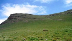 واگذاری هزار هکتار اراضی ملی آذربایجان غربی به متقاضیان  طرح‌های کشاورزی