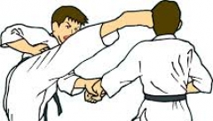 مشکلات کاراته‌کاران نوجوان و جوان از زبان مربی کاراته