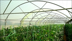 راهکارهای توسعه، ایجاد ثروت و اقتصادی سازی کشاورزی  آذربایجان غربی