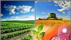 جایگاه تحقیقات و پژوهش در توسعه  کشاورزی آذربایجان غربی