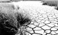 خشکسالی در راه است  برنامه‌های توسعه اقتصادی را تغییر دهید
