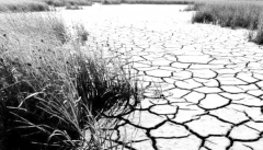 خشکسالی در راه است  برنامه‌های توسعه اقتصادی را تغییر دهید