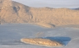 سرنوشت غم انگیز دریاچه ارومیه، زنگ خطری برای تالاب‌های  آذربایجان غربی