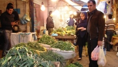 مردم مراقب گیاهان خوراکی بهاری  در استان باشند