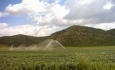 افزایش بهره‌وری کشاورزی آذربایجان غربی  در گرو مصرف صحیح منابع آب و خاک