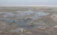 مردم آذربایجان غربی باید  برای نجات دریاچه ارومیه  همت کنند