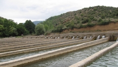 گسترش مزارع غیرمجاز پرورش ماهی  در آذربایجان غربی