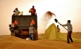 گندم کاران آذربایجان غربی در انتظار اتمام سیلوی  ۷۰ هزار تنی