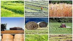 آمایش سرزمینی حلقه مفقوده توسعه کشاورزی  آذربایجان غربی