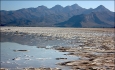 شوری آب دریاچه ارومیه تنوع زیستی  را کاهش داده است