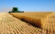 کشاورزان استان اردبیل در روسیه سرمایه گذاری می کنند