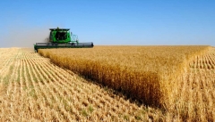 کشاورزان استان اردبیل در روسیه سرمایه گذاری می کنند