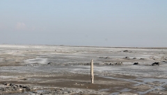 ۷۲۹ میلیارد تومان به احیای دریاچه ارومیه اختصاص یافت