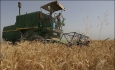 ذخیره سازی گندم در سیلوهای آذربایجان غربی کمتر از ظرفیت است