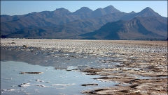 دریاچه ارومیه هر روز خشک تر از دیروز