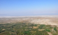 جنگل کاری حاشیه دریاچه ارومیه برای مقابله با گرد وغبار نمکی