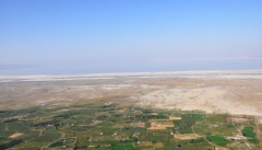 جنگل کاری حاشیه دریاچه ارومیه برای مقابله با گرد وغبار نمکی