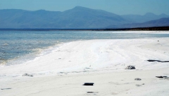 دریاچه ارومیه را با مطالعات ۹۵میلیاردی ۴سانتی‌متر کاهش دادند