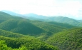 وجود ۱۰۰ هزارهکتار جنگل درمناطق  مختلف آذربایجان غربی