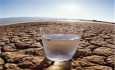 جنگل‌کاری دیمی راهکار مقابله با بحران  آب درآذربایجان غربی