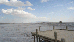 شرایط دریاچه ارومیه با ۷۲ سد روی ۱۱  رودخانه آن تغییری نمی کند