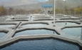 لزوم اعطای تسهیلات به متقاضیان پرورش آبزیان  درآذربایجان غربی