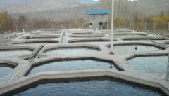 لزوم اعطای تسهیلات به متقاضیان پرورش آبزیان  درآذربایجان غربی