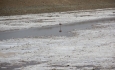 دریاچه ارومیه بحران ملی است