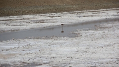 دریاچه ارومیه بحران ملی است