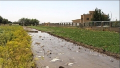خسارت ۶ هزار میلیارد ریالی به بخش کشاورزی آذربایجان غربی