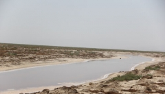 اجرای طرح های بیابان زدایی حاشیه دریاچه ارومیه در دو هزار کیلومتر مربع