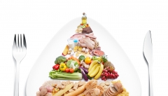 ایمنی غذایی معادله ای چند وجهی در حوزه سلامت ملی