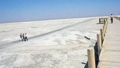 آرتمیای زنده در دریاچه ارومیه وجود ندارد