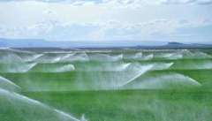 فقط ۱۳ درصد اراضی کشاورزی استان به آبیاری نوین مجهز است