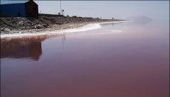 انتقال آب سدها به دریاچه ارومیه برای رفع بحران  ضروری است