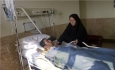 طرح مبارزه با بیماری تب کریمه گنگو در استان آغاز شد