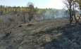 افزایش احتمال آتش‌سوزی در جنگل¬های استان به سبب شدت گرما