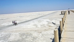 سازمان حفاظت محیط زیست کلاً دریاچه ارومیه را رها کرده است