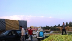 نبود زیرساخت ها سنگ پیش پای صادرات محصولات کشاورزی آذربایجان غربی