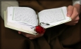 جلوه هایی از اخلاق نبوی در قرآن