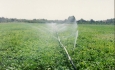 ۴۵میلیون متر مکعب آب در بخش کشاورزی صرفه جویی شد