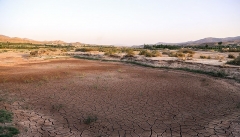 وزش بادهای نمک وشوری خاک کام کشاورزان آذربایجان  را تلخ کرده است