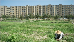 تغییر کاربری اراضی کشاورزی معضل جدی در آذربایجان غربی