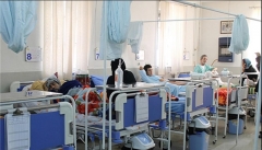 طرح تحول سلامت زمینه ساز افزایش استانداردهای درمانی در جنوب استان