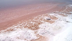 افزایش غلظت نمک باعث رنگ قرمز دریاچه ارومیه  شده است