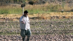 درآمد خانوارهای کشاورز آذربایجانی کمتر از میانگین کشوری است