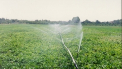 دولت از کشاورزان آذربایجان غربی در مدرن‌سازی روش‌های آبیاری حمایت کند
