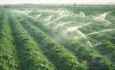 ۷۴ میلیون مترمکعب آب در بخش کشاورزی استان صرفه جویی شده است